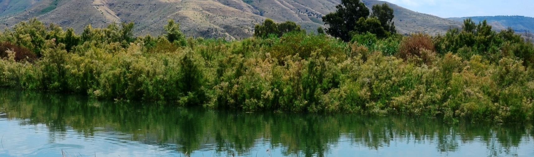 הגשמים חידשו את זרימות המים