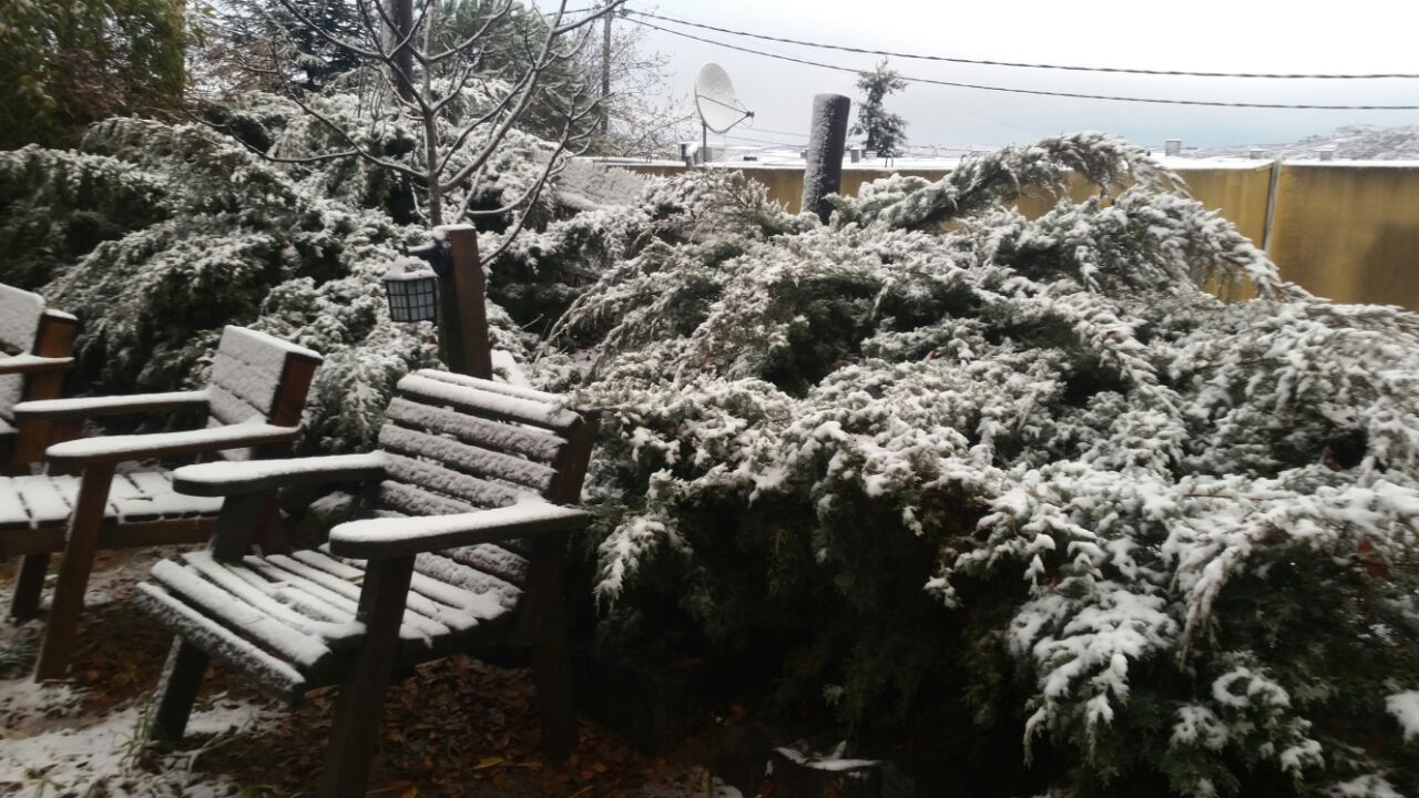 שלג החל להיערם בצפון רמת הגולן