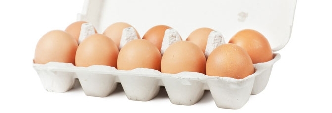 עבר בקריאה טרומית- בשורה טובה למגדלי ביצים ופטם