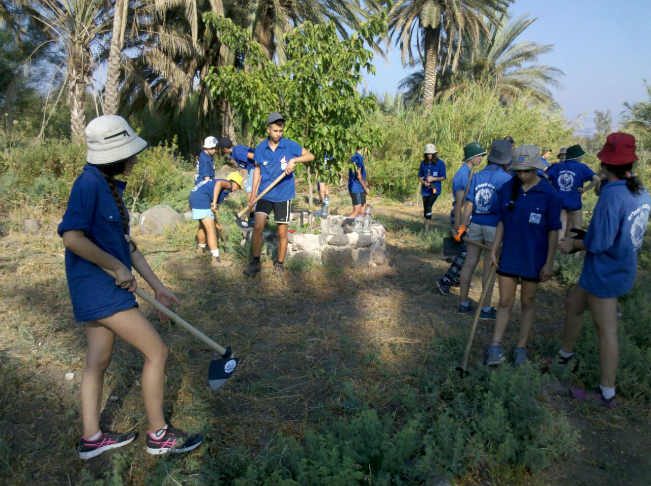 250 בני נוער מתנועת ‘מחנות העולים’ הגיעו  לשבוע התנדבותי בשביל סובב כינרת