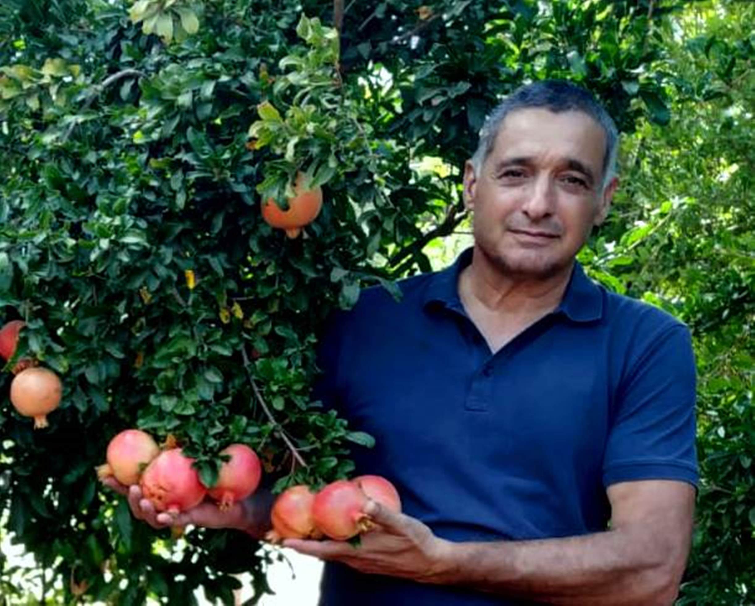 ירון בלחסן, מנכ”ל ארגון מגדלי הפירות:  יבול הרימון פחת השנה אך למרות זאת יתקיים ייצוא רימונים של 12 אלף טון