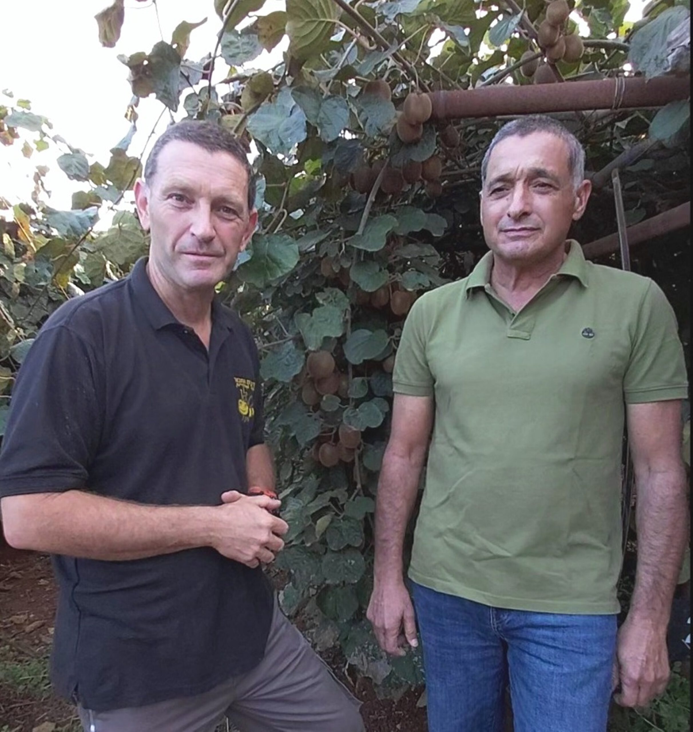 ירון בלחסן מנכ”ל ארגון מגדלי הפירות בישראל בסיור לדבוראים במטעי הקיווי במלכיה