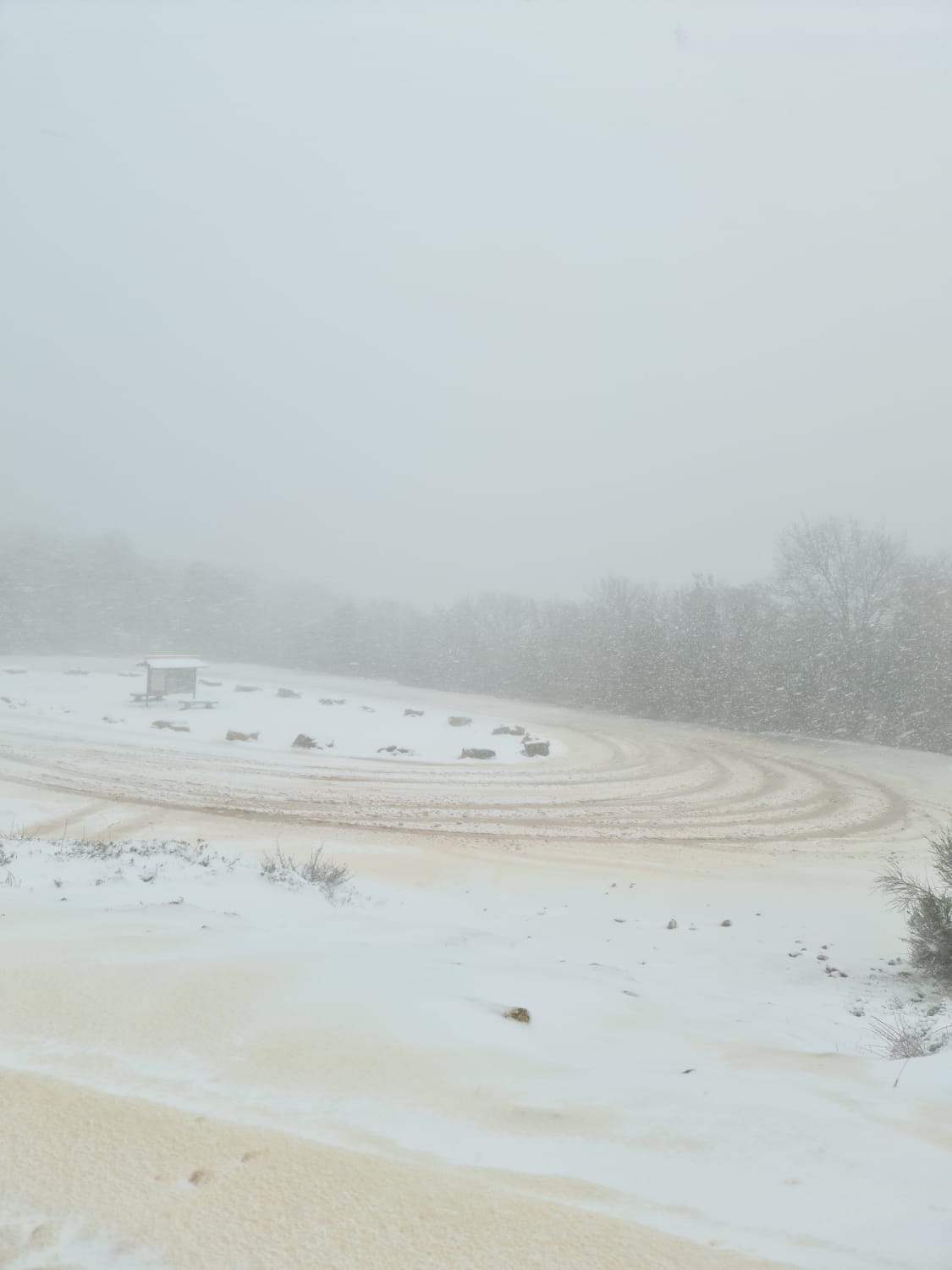 רט״ג: הכביש למירון סגור בעקבות שלג