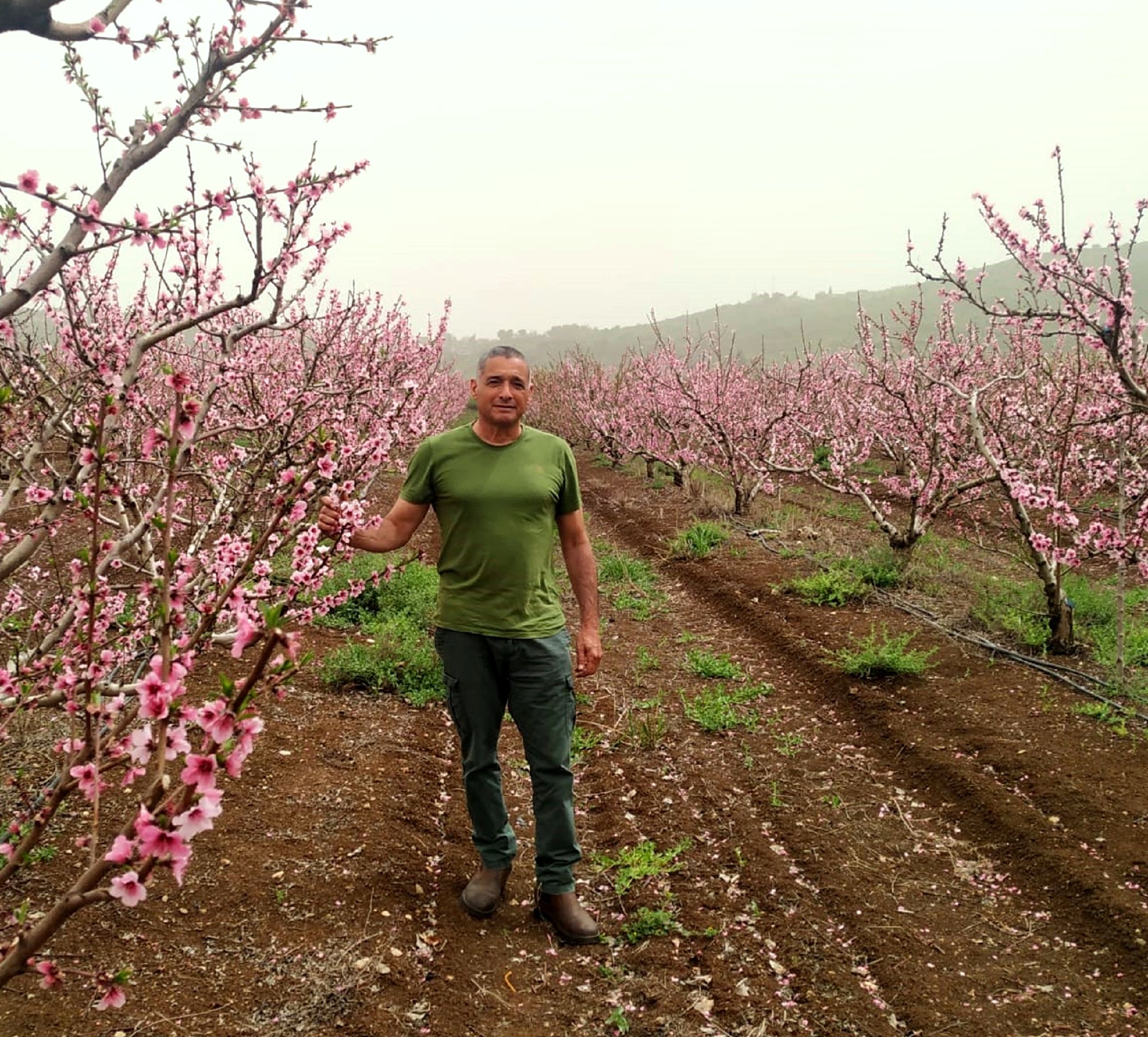 ירון בלחסן מנכ”ל ארגון מגדלי הפירות בישראל בסיור מעקב להערכת מצב הפריחה במטעי הפרי בגליל העליון