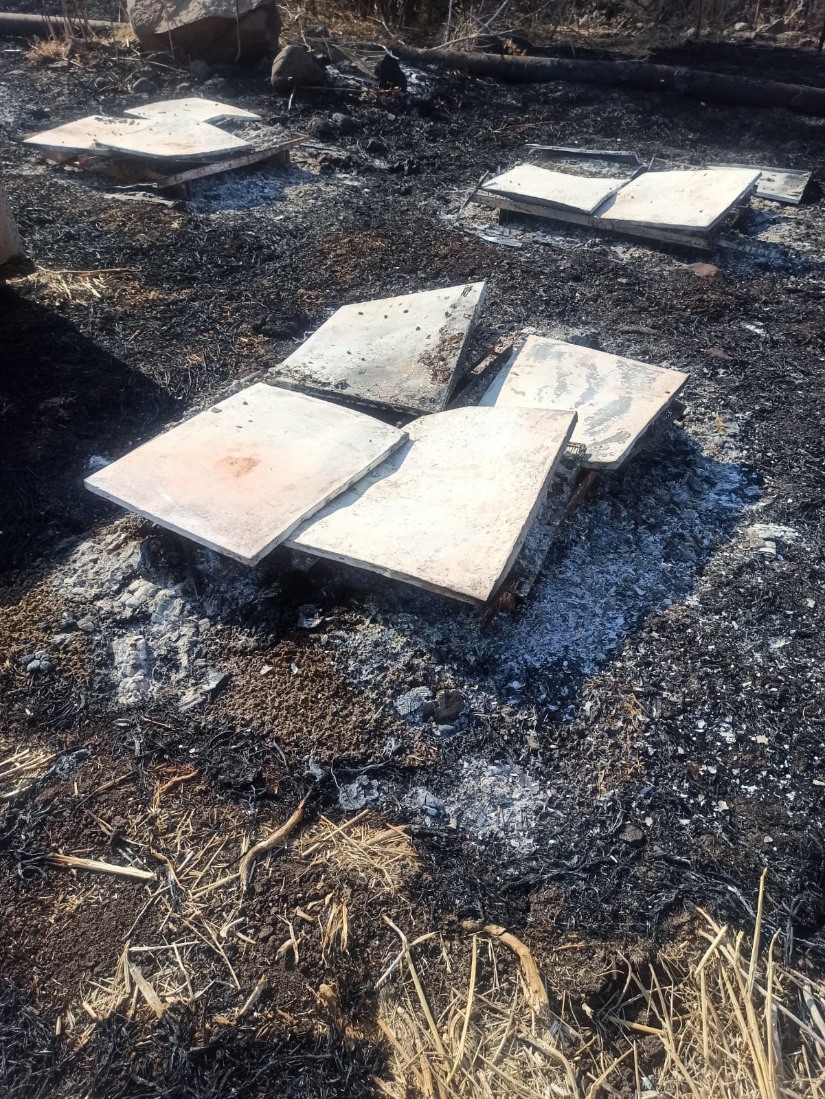 48 כוורות שהכילו כטון דבש נשרפו כליל בשריפה בשבוע שעבר בסמוך לפארק הירדן