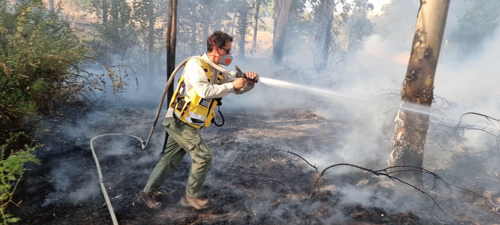 בעקבות גל החום הכבד קק”ל: לא להדליק אש בפארקים וביערות