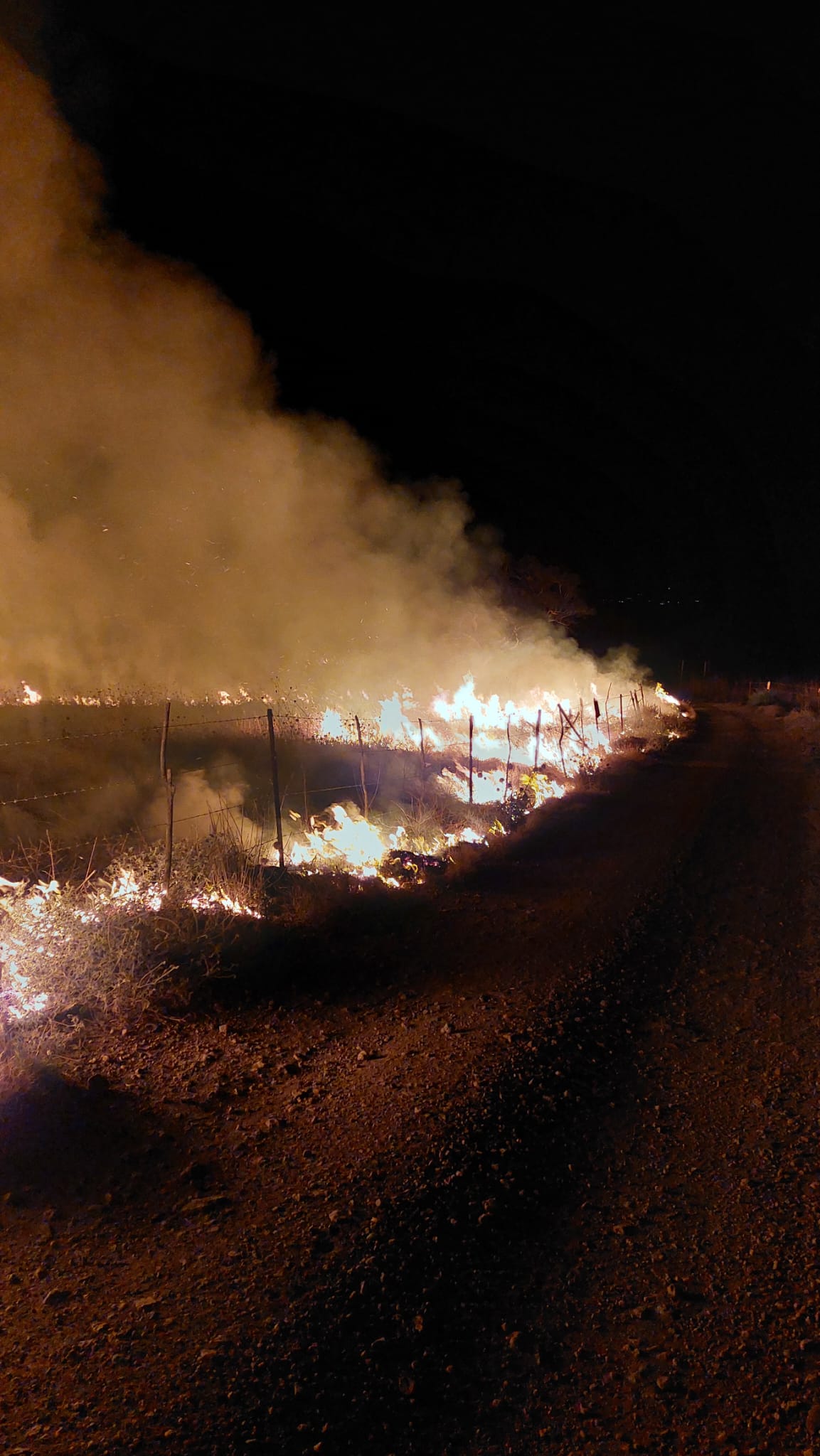 שריפת קוצים בתל-עזזית סמוך לשניר שבגליל העליון